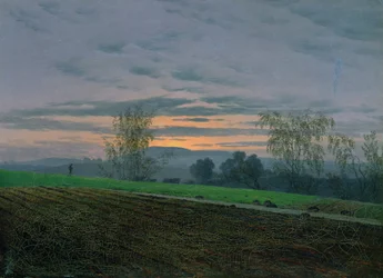 Ploughed Field